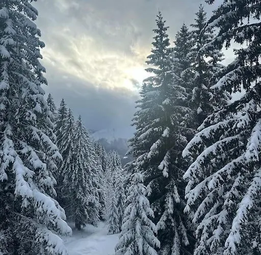 Appartamento La Clusaz Escape *
