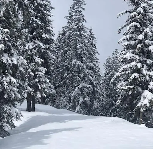 La Clusaz Escape * Manigod